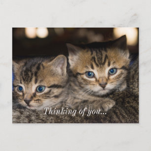 On Momma's Back Thinking Of You Postcard