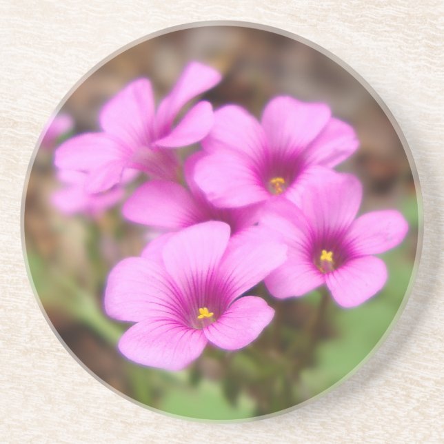 On My Doorstep Coaster (Front)