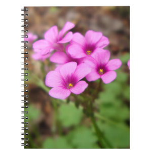 On My Doorstep Notebook