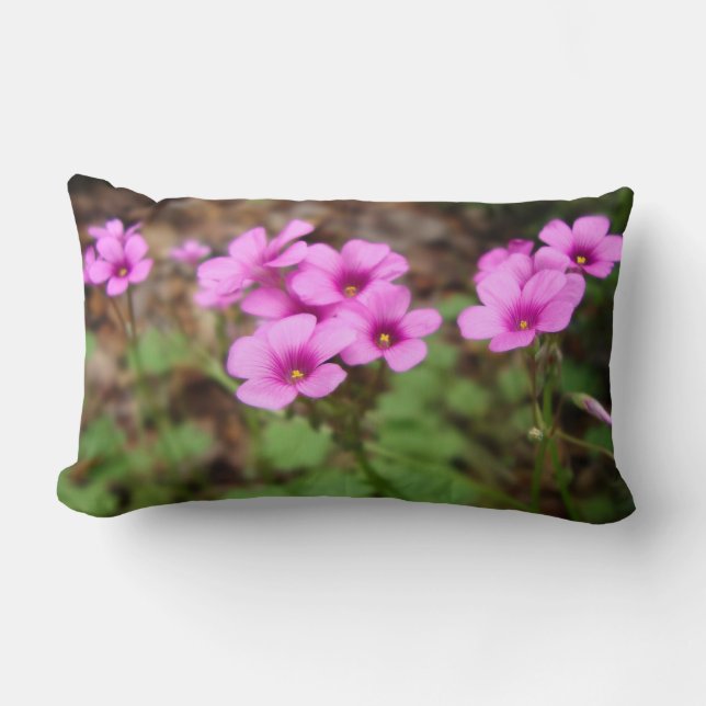 On My Doorstep Pillow (Front)