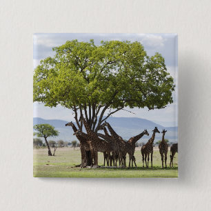 On safari in Mikumi National Park in Tanzania, 15 Cm Square Badge