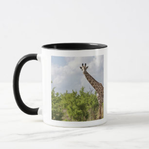 On safari in Tanzania, Africa. 2 Mug
