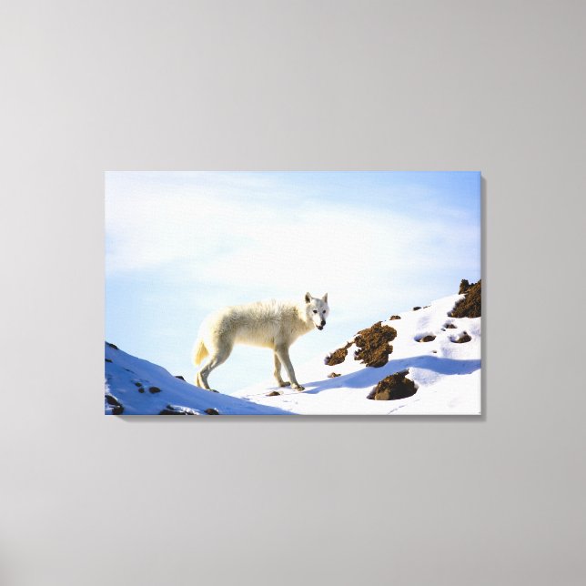 on snow covered terrain canvas print (Front)