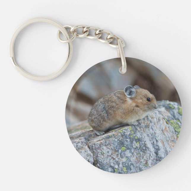 On The Alert Key Ring (Front)