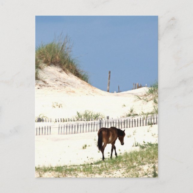"On the Edge" Postcard (Front)
