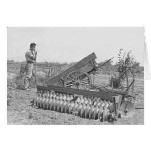 On the farm in the 1940's