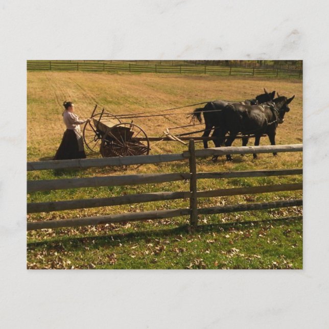 On the Farm Postcard (Front)