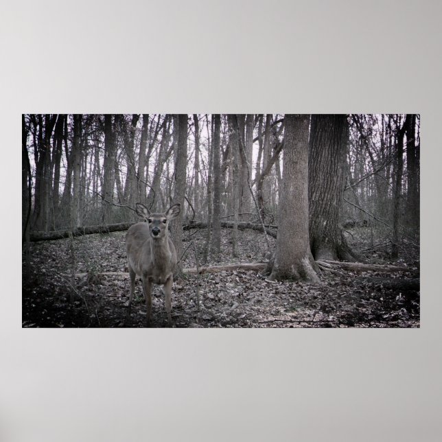 On the Farm Poster (Front)