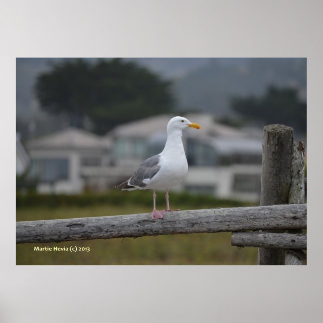 On the Fence Poster (Front)