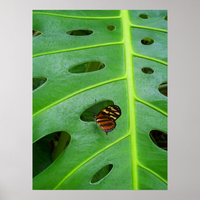 On the Green Poster (Front)