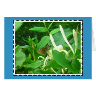 On the Honeysuckle