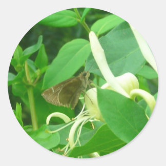 On the Honeysuckle Stickers