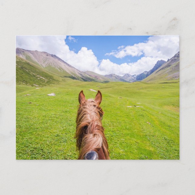 On the horse back postcard (Front)