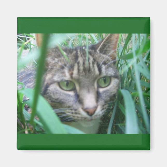 On the Hunt Cat Magnet (Front)