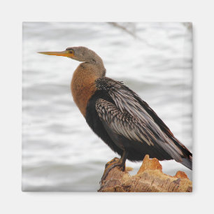 On the Lookout Magnet