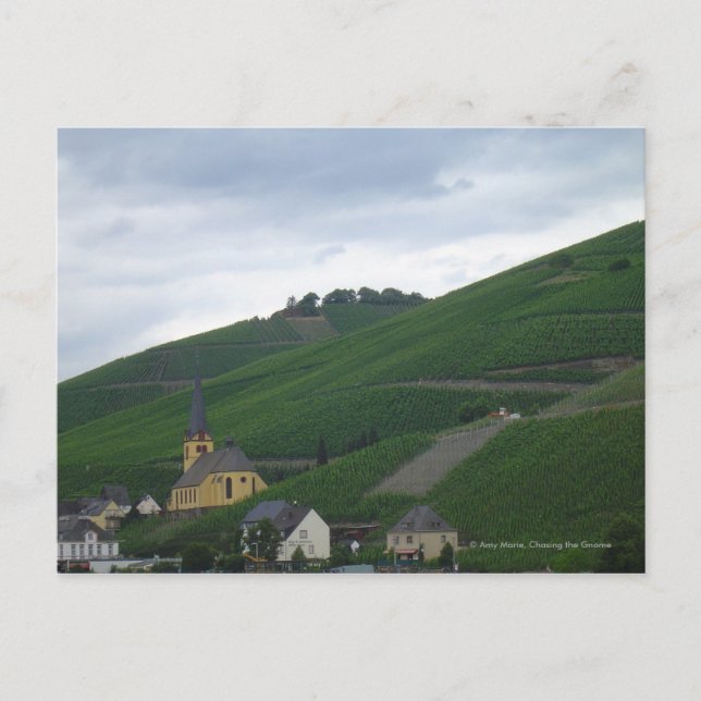 On the Mosel Postcard (Front)