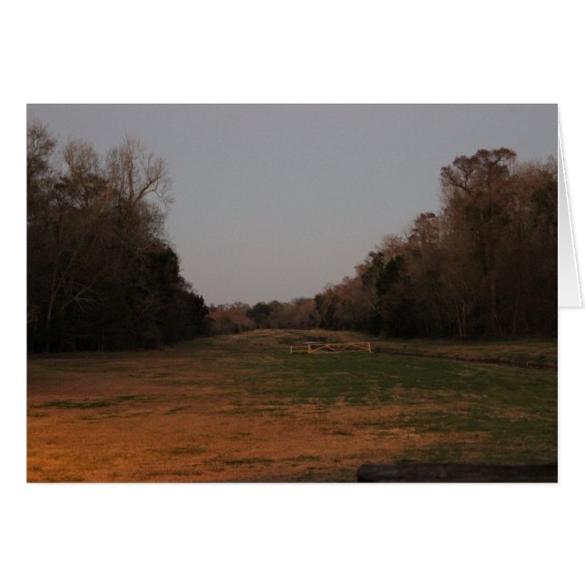 On the open range (Front Horizontal)