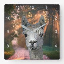 On the road with Pepe the Alpaca