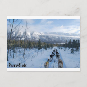 On_The_Trail.jpg Post Cards