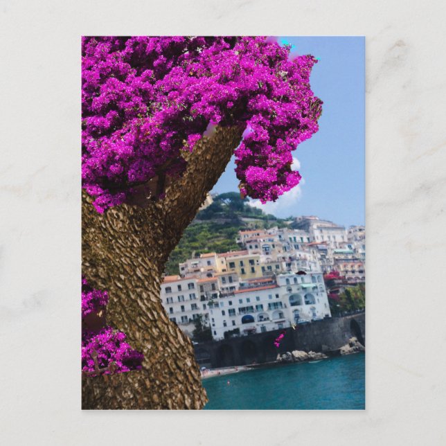 On the trips you see the wonder of different world postcard (Front)