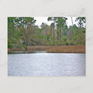 On The Water Postcard