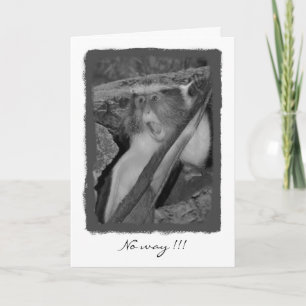 On the way, Birthday! Card