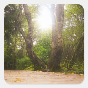 On the way...   square sticker