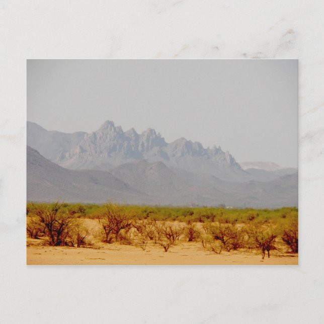 on the way to Lordsburg, NM Postcard (Front)