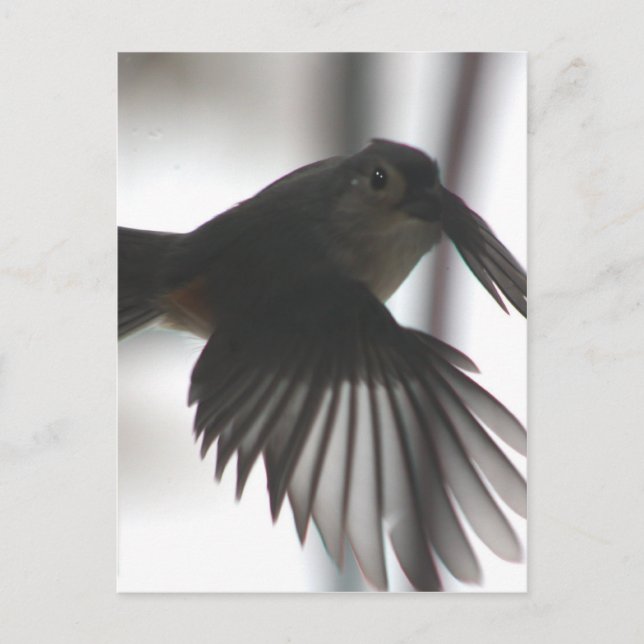 On the wingt postcard (Front)