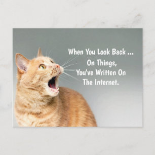 On Things You've Written On The Internet Funny Postcard