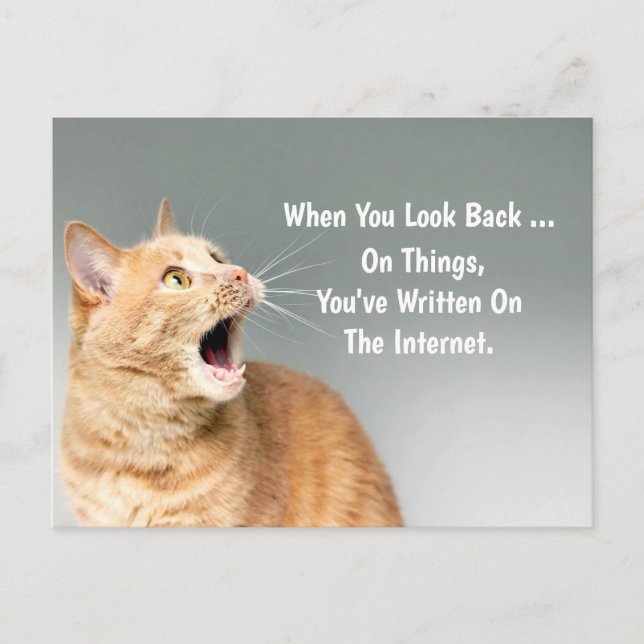 On Things You've Written On The Internet Funny Postcard (Front)