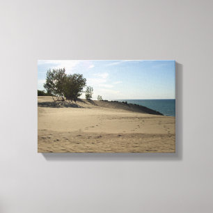 On top of Mt. Baldy, Indiana Dunes National Park Canvas Print