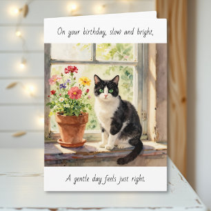 On Your Birthday   Cat Themed Relaxing Day Card