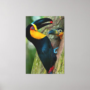 Onaitsirc Infinity collection of screenshots. Canvas Print