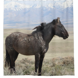 ONAQUI HERD ROAN WILD HORSE OF UTAH Shower Curtain