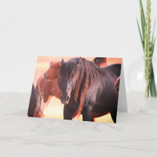 ONAQUI HERD WILD HORSE GREETING CARD