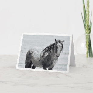 Onaqui Mountain Wild Horse blank note card. 5"x 7" Card