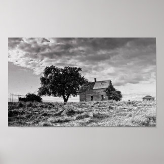 Once a Beauty Poster