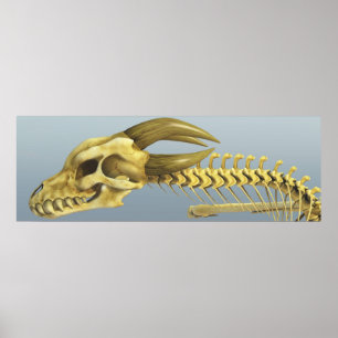 Once A Dragon Poster