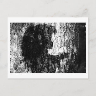 Once upon a time in the woods postcard