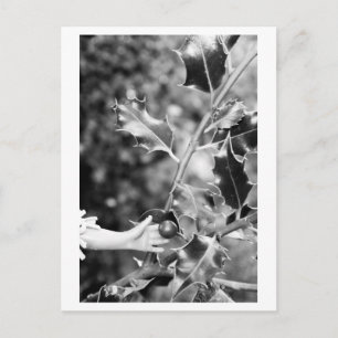 Once upon a time in the woods postcard