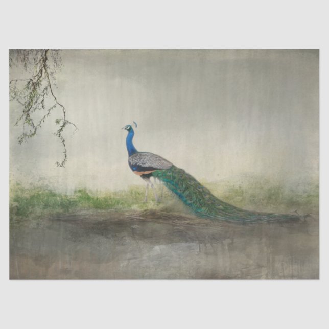 Once Upon A Time Tissue Paper (Front)