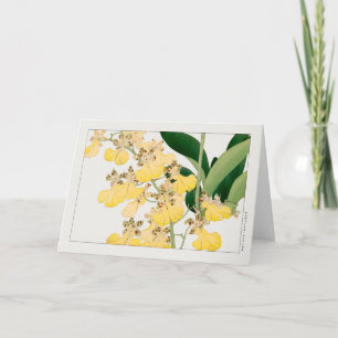 Oncidium by Tanigami Konan Card