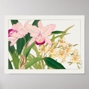 Oncidium by Tanigami Konan Poster