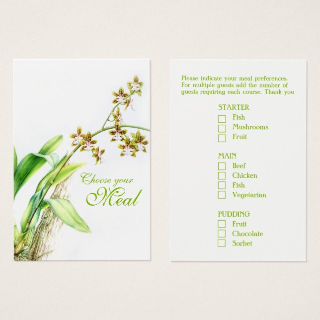 Oncidium Leucochilum orchid flower green (Front & Back)