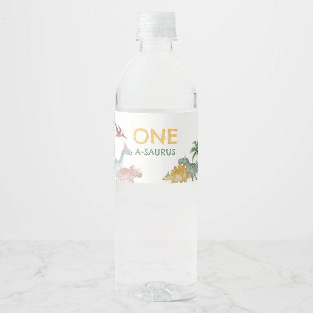 One A Saurus Dinosaur Boy Birthday  Water Bottle Label (Front)