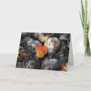 One and Only Fall Leaf Photography Blank Card