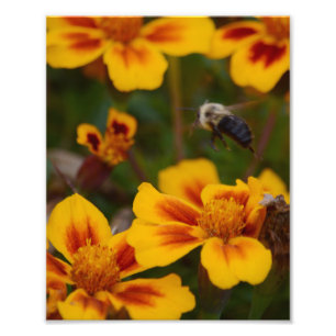 One Autumn Afernoon in the Garden. Photo Print