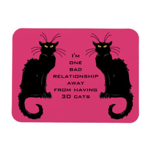 One Bad Relationship Away From Having 30 Cats Magnet
