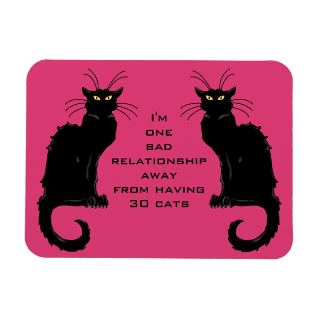 One Bad Relationship Away From Having 30 Cats Magnet (Horizontal)